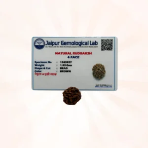 4 Mukhi Rudraksh