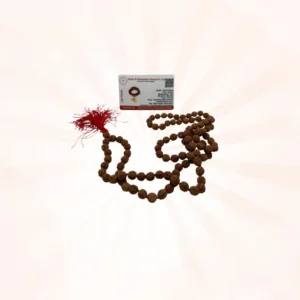 5 Face Rudraksh Jaap Certified Mala