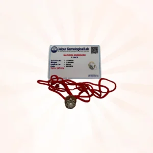 7 Face Rudraksh amulet