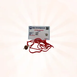 9 Face Rudraksh Amulet