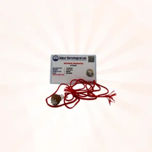 8 Face Rudraksh amulet