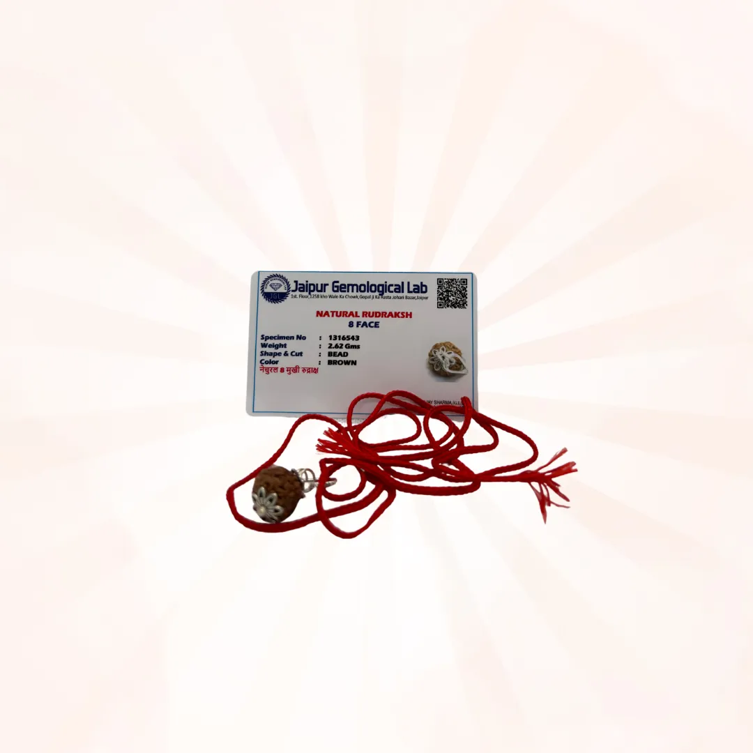 8 Face Rudraksh amulet
